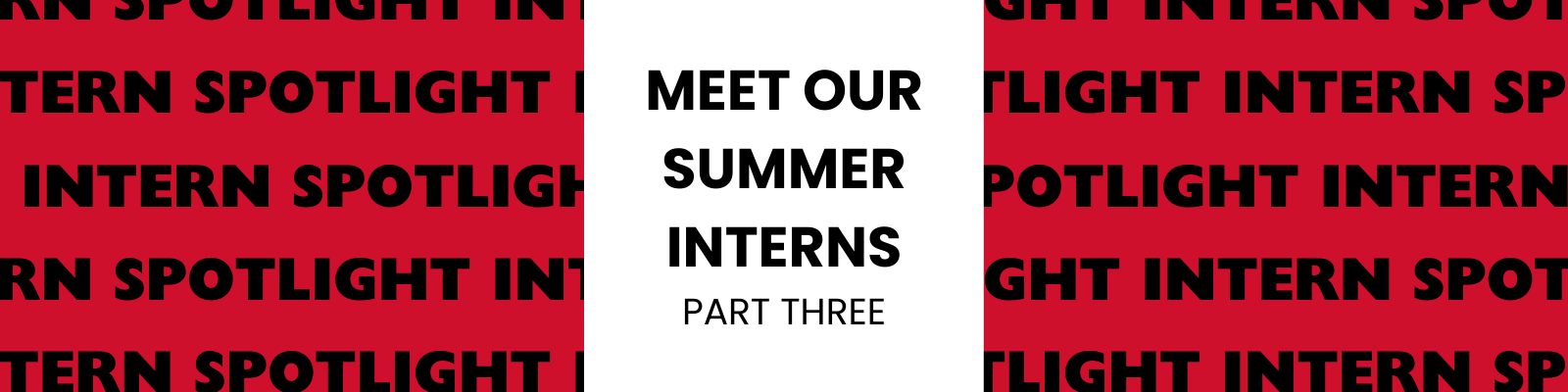 Featured image for blog post: MEET THE ALLEY’S SUMMER INTERNS: PART THREE